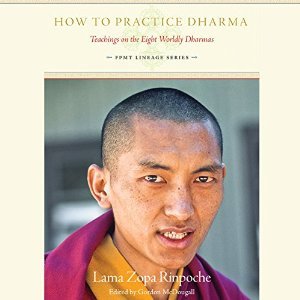 Full Download How to Practice Dharma: Teachings on the Eight Worldly Dharmas - Thubten Zopa file in ePub