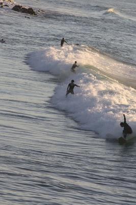 Download Surfers Catching a Wave Journal: 150 Page Lined Notebook/Diary -  | PDF