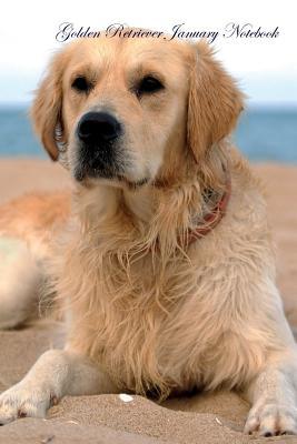 Read Online Golden Retriever January Notebook Golden Retriever Record, Log, Diary, Special Memories, To Do List, Academic Notepad, Scrapbook & More - Retriever World file in PDF