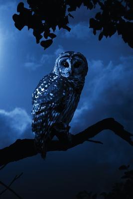Download Watcher in the Woods Journal: 365 Page Journal Notebook Diary -  | PDF