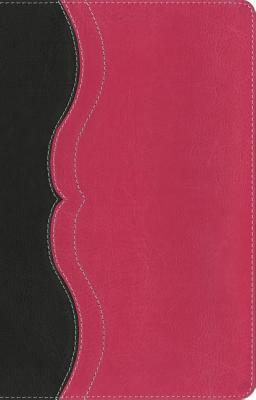 Read Online NIV, Quest Study Bible, Personal Size, Leathersoft, Gray/Pink, Indexed: The Question and Answer Bible - Christianity Today | PDF