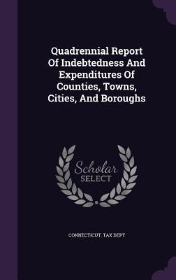 Download Quadrennial Report of Indebtedness and Expenditures of Counties, Towns, Cities, and Boroughs - Connecticut Tax Dept | PDF
