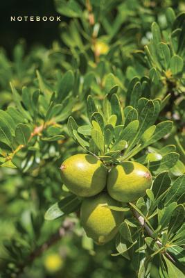 Read Online Notebook: Lined Journal Fresh Fruit Tree in Morocco -  file in PDF