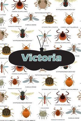 Download Victoria: Bug Insect Handwriting for K-3 Students Practice Paper Book Notebook Journal Book 120 Pages 6x9 -  file in PDF