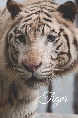 Read Online Tiger: Notebook with Animals for Kids, Teenagers, for Drawing and Writing: Animal, Nature, Notebook, Journal, Diary (110 Pages, Blank, 6 x 9) -  file in PDF